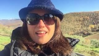 Winter wine tours in Tuscany - Cooltours®