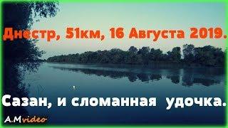 Рыбалка на реке Днестр, 51км, 16 Августа 2019.Караси,сазан, и сломанная фидерная удочка.