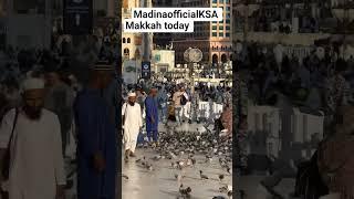 Kaabalive Umrah Madina live Makkah live naat #naatsharif #saudiarabia #makkah #madina hajj2025