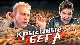 КРЫСИНЫЕ БЕГА №2