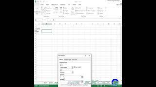 Input Restriction with Data Validation Function