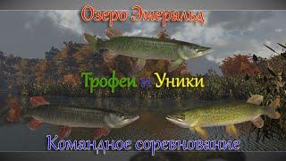 Fishing Planet - Озеро Эмеральд (Спонсируемое Командное Соревнование)