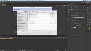 Importing video in Animate CC