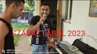 TIBOX & NORBY száraz fábol 100% live 2023 uj