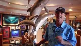 Wyland Galleries of Florida Welcome Video