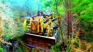 Salvaging an Abandoned TD9 Bulldozer from the Forest.. Will it start??