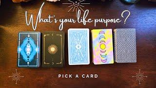 ..::  Your life purpose  ::.. pick a card ..:: timeless tarot ::..