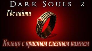 Где найти кольцо с Красным Слезным камнем в Dark Souls 2 - Дарк Соулс 2 ГАЙД