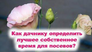 Как дачнику, огороднику определить лучшее собственное время для посева семян, посадки растений?