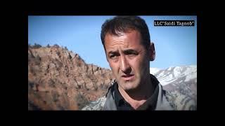 Best hunting area in Tajikistan   LLC “Saidi Tagnob”