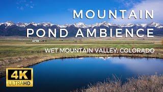 4K MOUNTAIN POND AMBIENCE | 3 HOURS of Birds Singing in the Wet Mountain Valley, Colorado