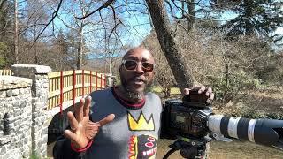 Director’s Cut: Fundamentals of Filmmaking with Anthony Q. Artis, NYU Adjunct Faculty