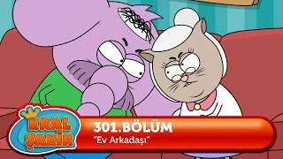 Kral Şakir 301. Bölüm - Ev Arkadaşı  YENİ BÖLÜM