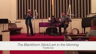 The Blackthorn Stick/Lark in the Morning