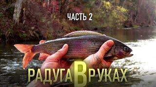 РАДУГА В РУКАХ (Часть 2). Rainbow in the hands (Part 2).