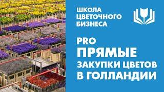 Webshop. Прямые закупки цветов в Голландии