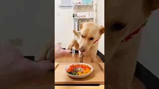 Meal Time with My Loyal Friend | Pet Tales"#pettales #shorts #shortvideo #short #subscribe #funny