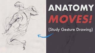 Anatomy Moves! Study GESTURE DRAWING