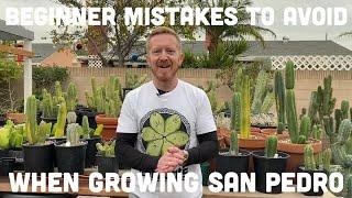 4 Beginner Mistakes to Avoid When Growing San Pedro Cacti l Mallacht's Plants