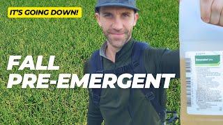 Fall Pre-emergent Tips for ZERO Crabgrass