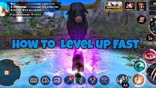 How To Level Up Quickly In The Wolf ? 