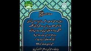 Hadees Shareef | اگر مومن کو کوئی کانٹا بھی چبھتا ہے | Hadees in Urdu | Hadees | Hadees e Kisa |