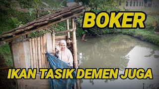 BOKER,   TERNYATA IKAN DEMEN JUGA...