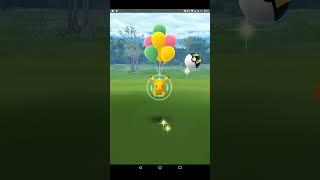 Shiny pikachu baloon cp 497 ▶ NVR TV