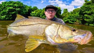 Je PECHE le poisson le plus INCROYABLE de toute ma VIE !!! ( Guadeloupe exploration part 2 )