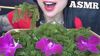 ASMR SEA GRAPES (CRUNCHY EATING SOUNDS) NO TALKING | SAS-ASMR