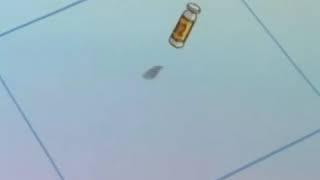 Bulma made Supreme for everyone in the Cell Sage