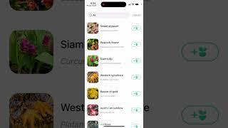 Plant Parent: Plant Care Guide app - what is it? How to use?