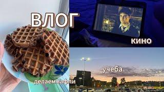 ДНЕВНИК СТУДЕНТКИ | будни | учеба | делаем вафли