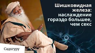 Шишковидная железа: наслаждение гораздо большее, чем что-либо еще