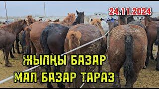 24.11.2024 ЖЫЛҚЫ БАЗАР / МАЛ БАЗАР ТАРАЗ