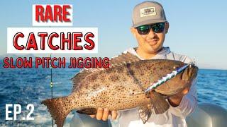 RARE CATCH - SLOW PITCH JIGGING - JYG PROFISHING