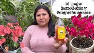 ASOMBROSO USO DEL VINAGRE EN TODAS NUESTRAS PLANTAS El mejor fungicida y insecticida casero