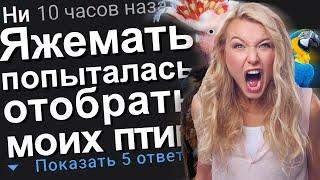 ЯЖЕМАТЬ ПОПЫТАЛАСЬ ОТОБРАТЬ МОИХ ПТИЦ. #Яжемать #Яжмать  #Истории