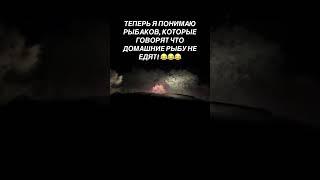 почему семья рыбака не ест рыбу???секрет раскрыт)вот и ответ)) #шортс #юмор #прикол #приколы2024