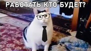 Начальник зашел к работникам