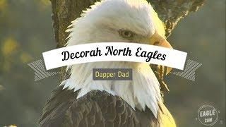 Decorah North Nest | Dapper Dad North And His Funny Faces