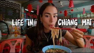 I LOVE CHIANG MAI, Thailand Amazing Street Food And Things To Do 2025