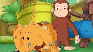 Curious George Hundley Jr Compilation HD  Cartoons For Children