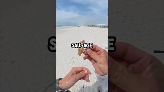 Fishing with A McDonalds Breakfast sandwich! #fishing #fishinglure #fishingvideo #saltwaterfix