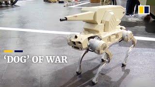 This Chinese-made robot dog is a combat specialist