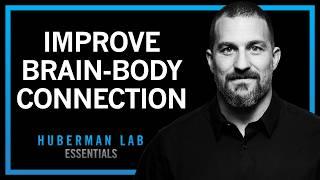 Improving Health With Stronger Brain-Body Connection | Huberman Lab Essentials