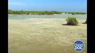 With oceans privileged by nature: this is Cuba, from within (FULL DOCUMENTARY)