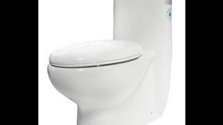 Eco Friendly Toilet - White Low Flush By EAGO (TB309)