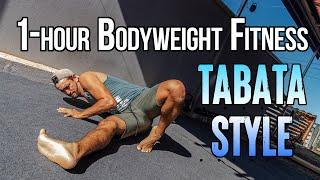 1 Hour Bodyweight Fitness - Flexibility, Mobility & Strength - Follow Along!