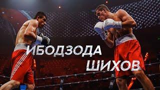 Ярослав Шихов vs Самидхони Ибодзода | Боксерский бой Wild Boxing